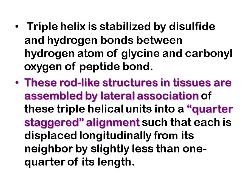 Triple helix is stabilized by disulfide and hydrogen bonds between hydrogen atom of glycine